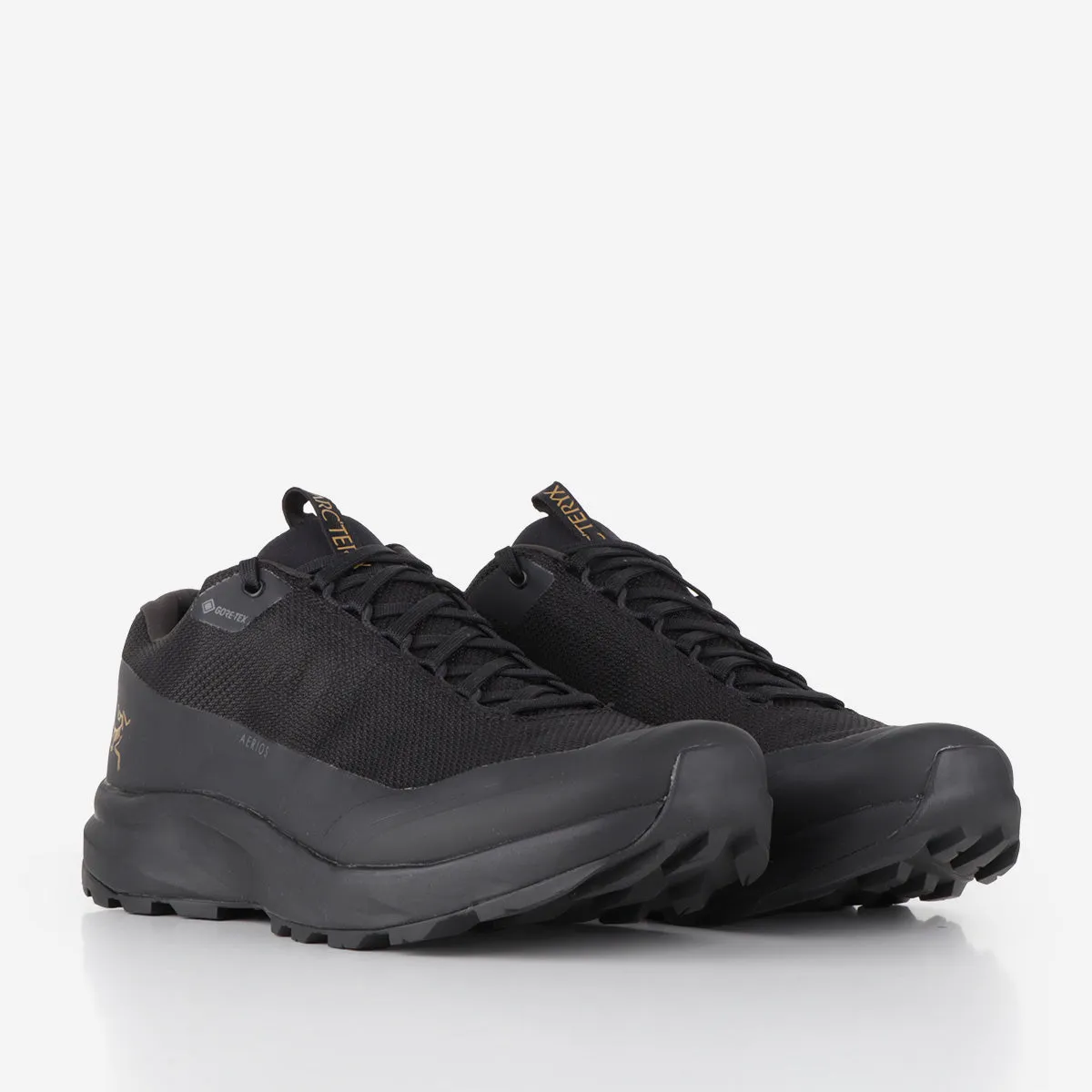 Arc'teryx Aerios GTX Shoes