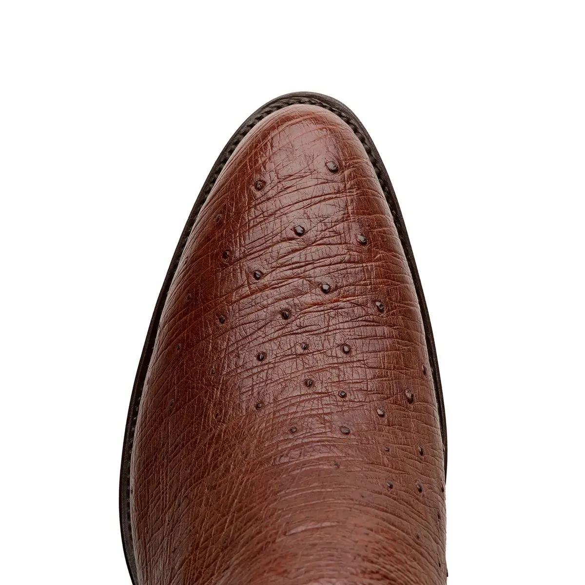 Gavel Men's Travis Smooth Ostrich Boots - Tobacco